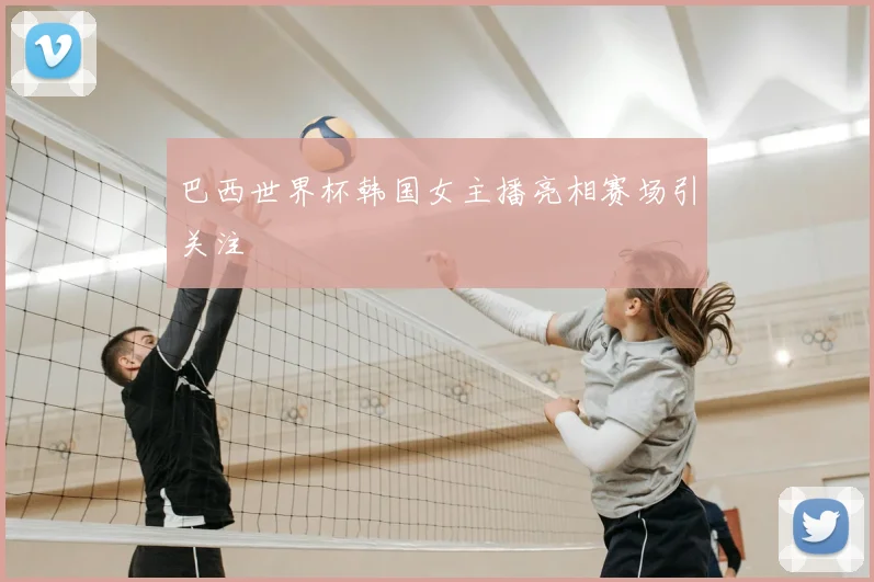 巴西世界杯韩国女主播亮相赛场引关注