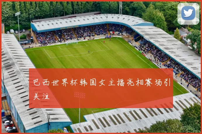 巴西世界杯韩国女主播亮相赛场引关注